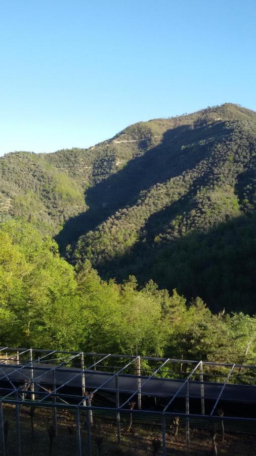 Nostro Rifugio Villa Apricale Dış mekan fotoğraf