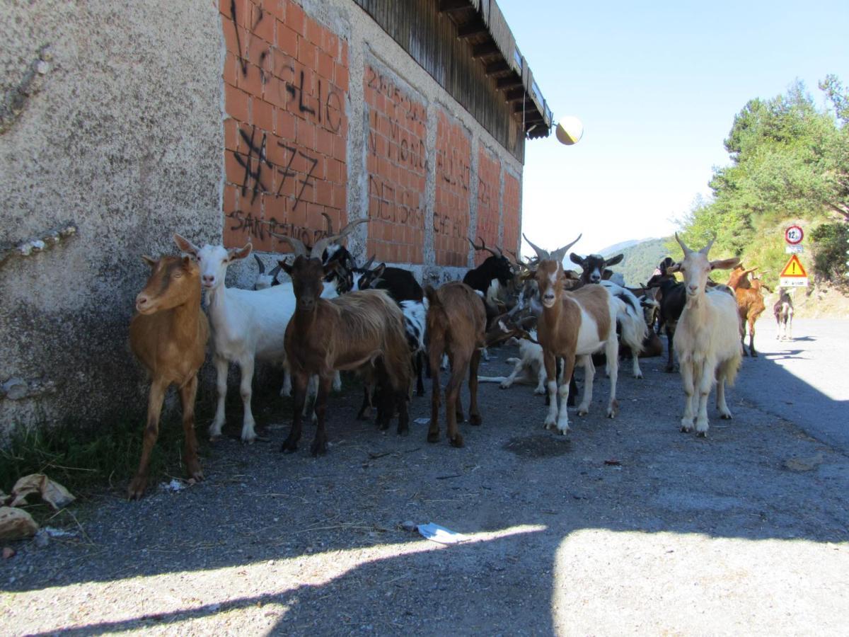 Nostro Rifugio Villa Apricale Dış mekan fotoğraf