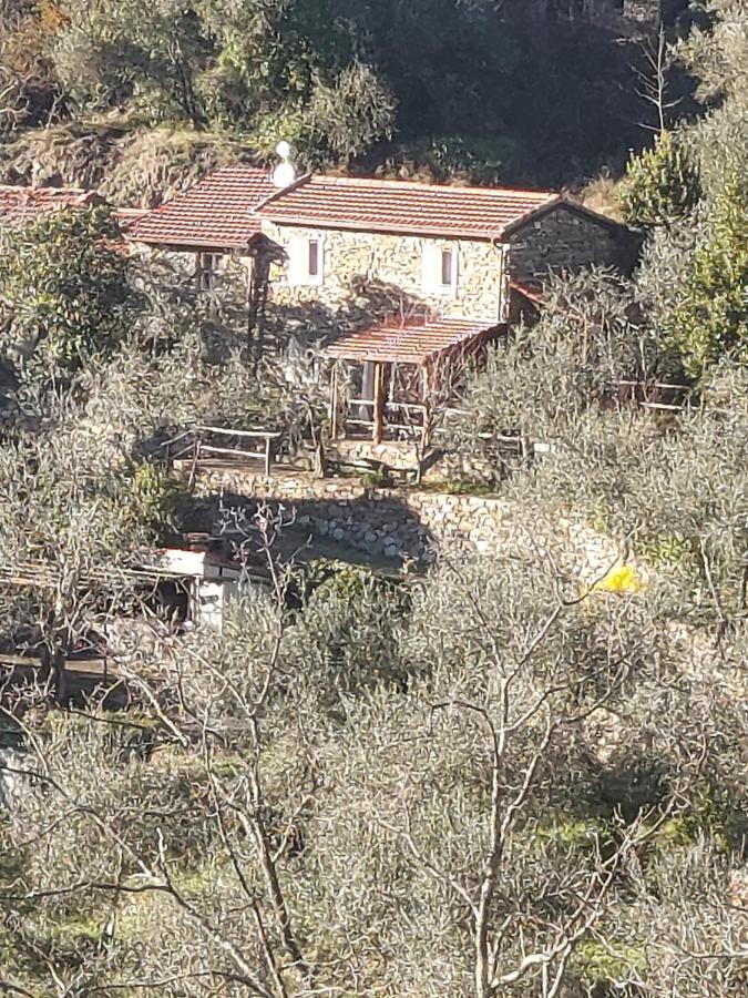 Nostro Rifugio Villa Apricale Dış mekan fotoğraf