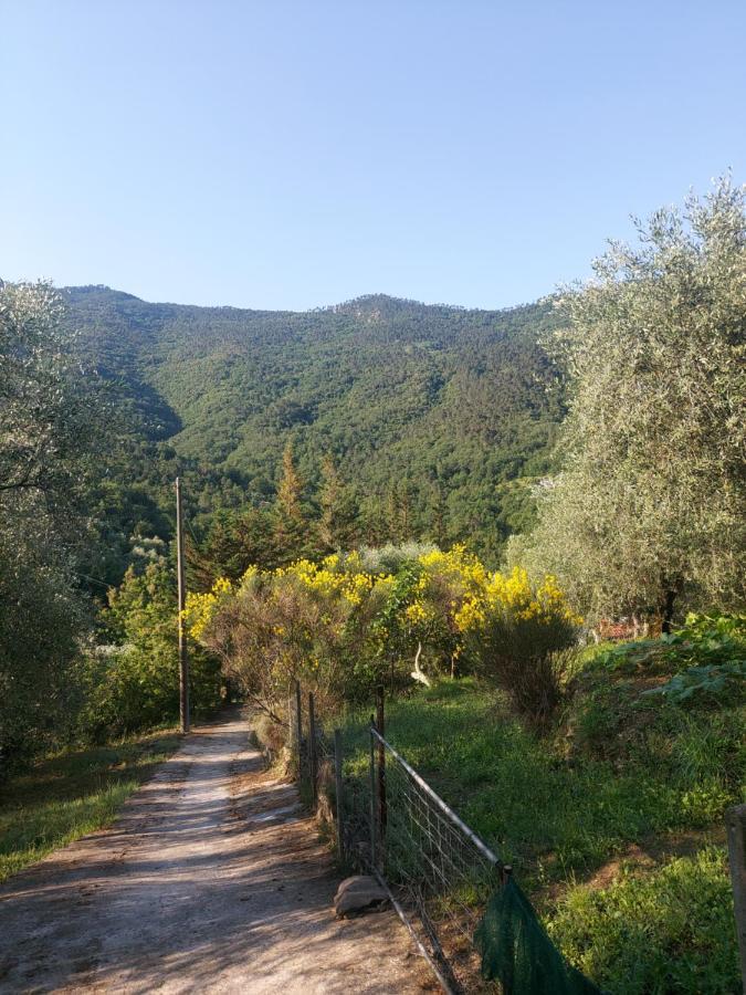 Nostro Rifugio Villa Apricale Dış mekan fotoğraf